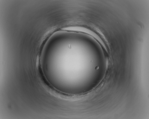 X0000114400019200910161325