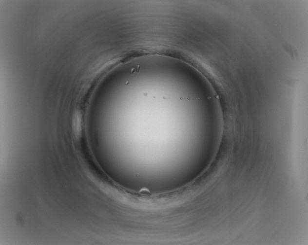 X0000114400022200910161325