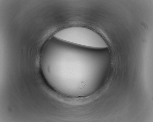 X0000114400023200910161325