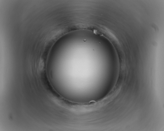 X0000114400025200910161325