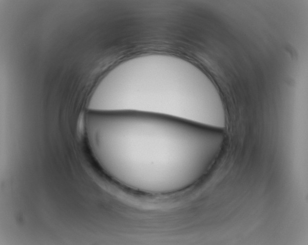 X0000114400028200910161325