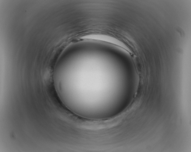 X0000114400029200910161325