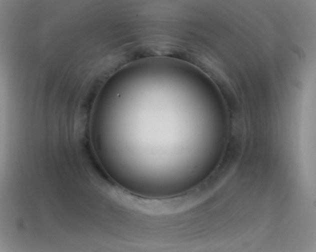 X0000114400030200910161325