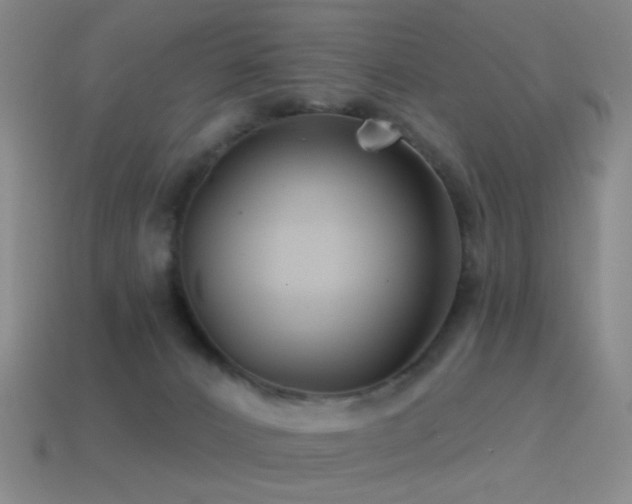 X0000114400032200910161325