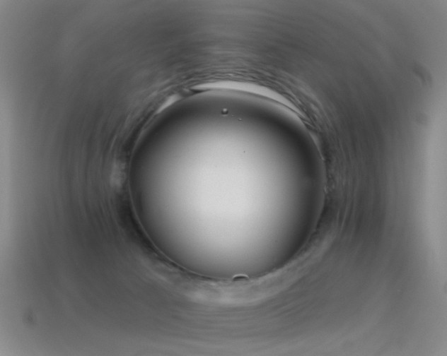 X0000114400033200910161325