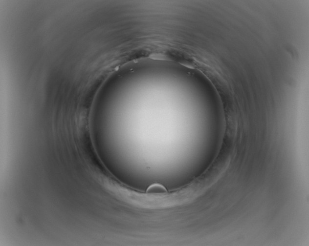 X0000114400034200910161325