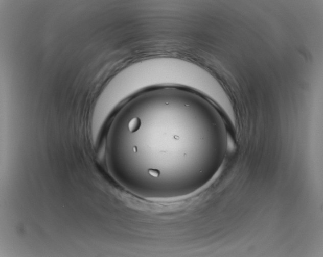 X0000114400035200910161325