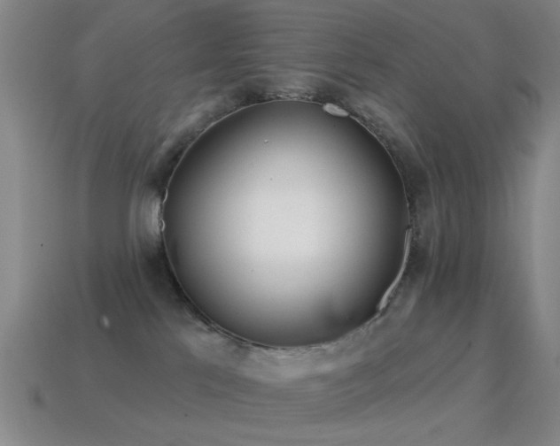 X0000114400041200910161325