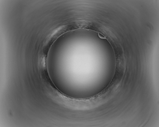 X0000114400042200910161325