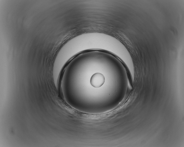 X0000114400045200910161325