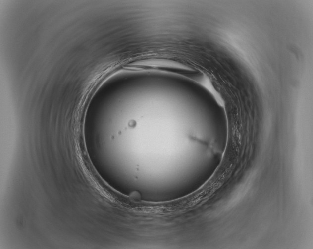 X0000114400049200910161324