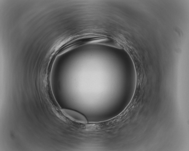 X0000114400050200910161324