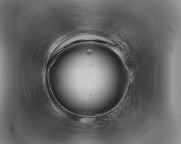 X0000114400051200910161324