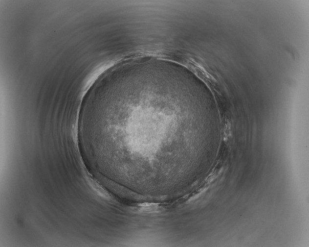 X0000114400052200910161324