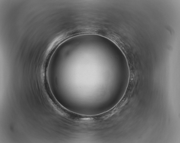 X0000114400053200910161324