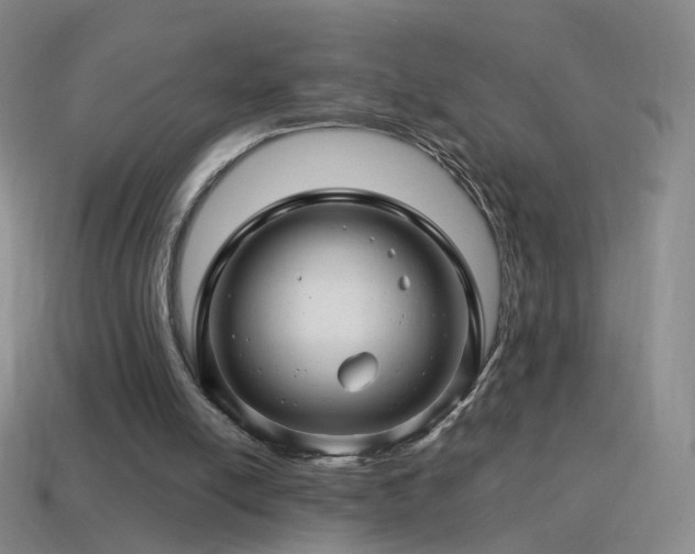 X0000114400054200910161324