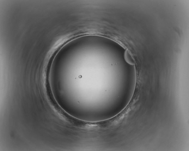 X0000114400055200910161324