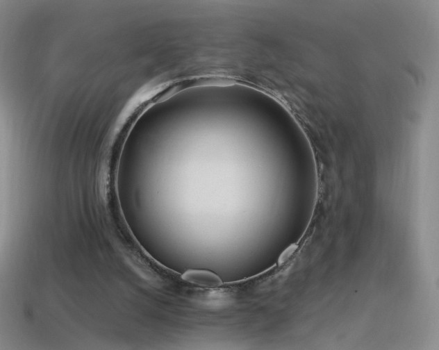 X0000114400056200910161324