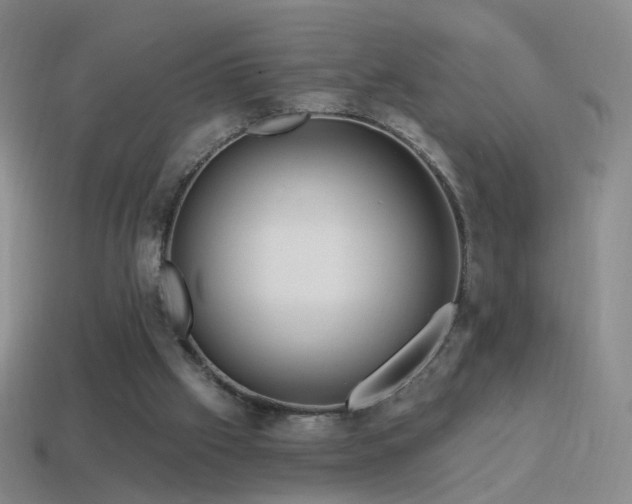 X0000114400057200910161324