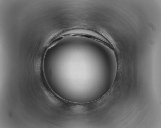 X0000114400058200910161324