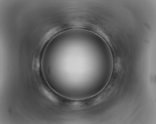 X0000114400059200910161324