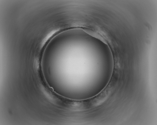 X0000114400060200910161324