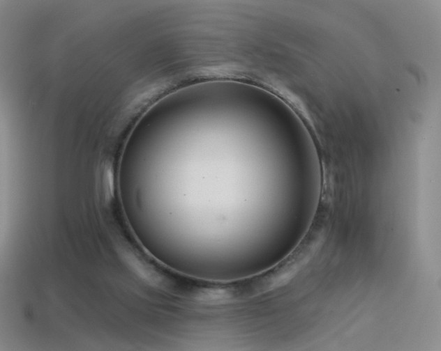 X0000114400061200910161324