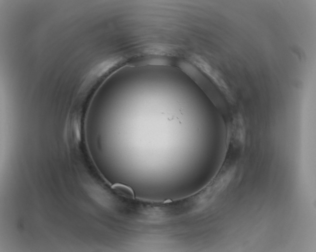 X0000114400062200910161324