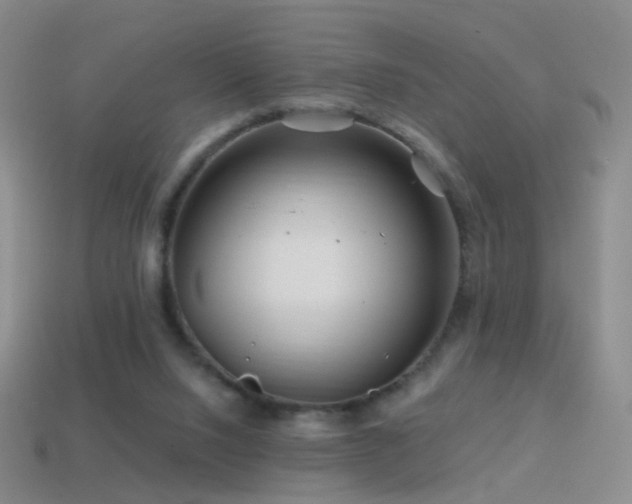 X0000114400064200910161324