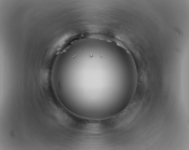 X0000114400066200910161324