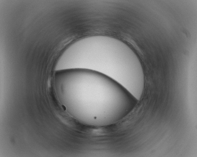 X0000114400068200910161324