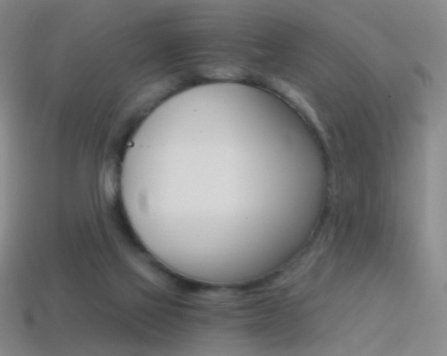 X0000114400069200910161324