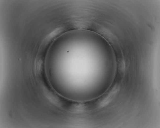 X0000114400071200910161324