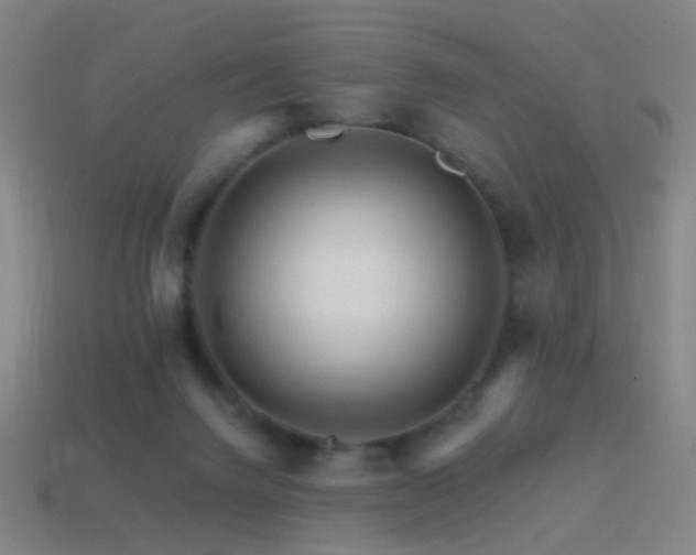 X0000114400072200910161324