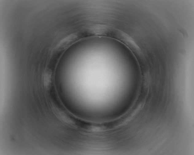 X0000114400073200910161324