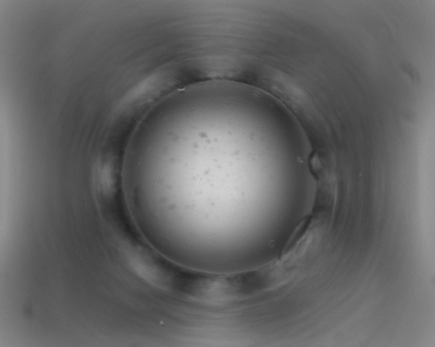 X0000114400074200910161324