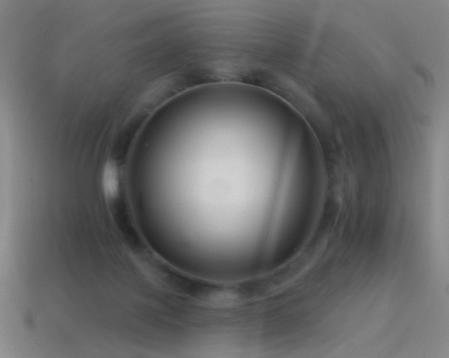 X0000114400075200910161324