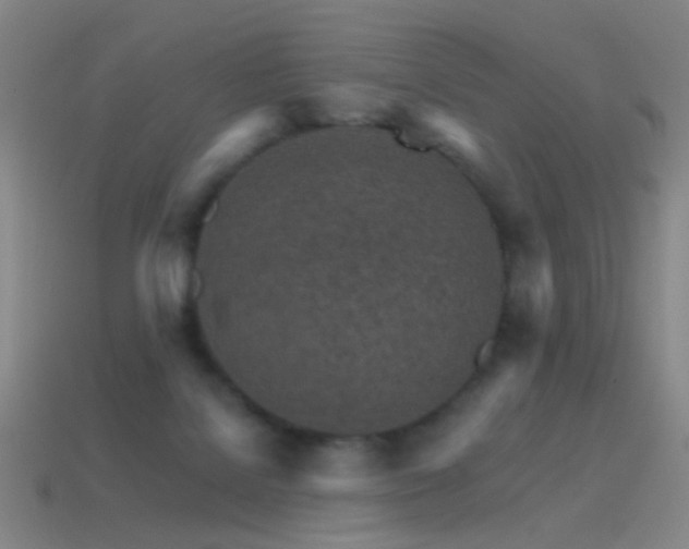 X0000114400076200910161324