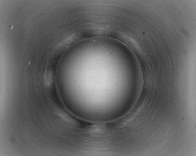 X0000114400077200910161324