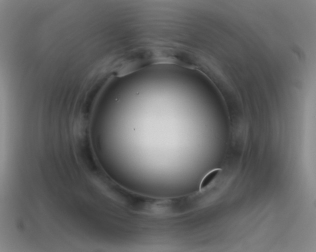 X0000114400078200910161324