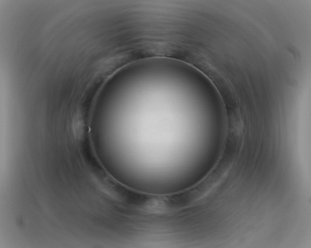 X0000114400080200910161324