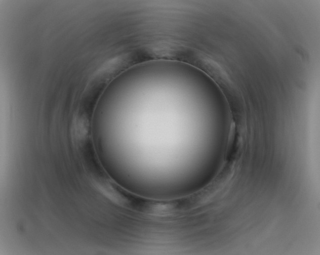 X0000114400081200910161324