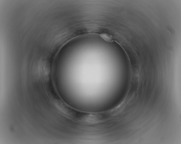 X0000114400082200910161324