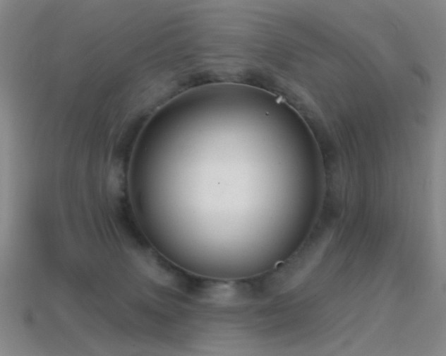 X0000114400083200910161324