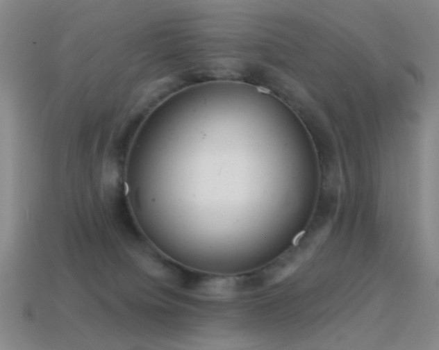 X0000114400084200910161324