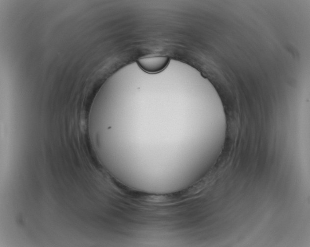 X0000114400085200910161324