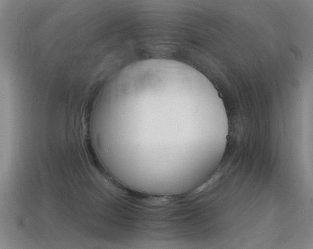 X0000114400086200910161324