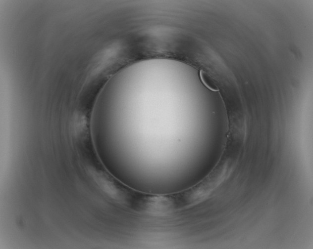 X0000114400087200910161324