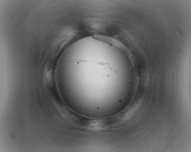 X0000114400088200910161324