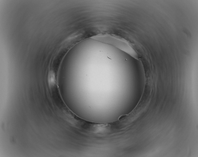 X0000114400089200910161324